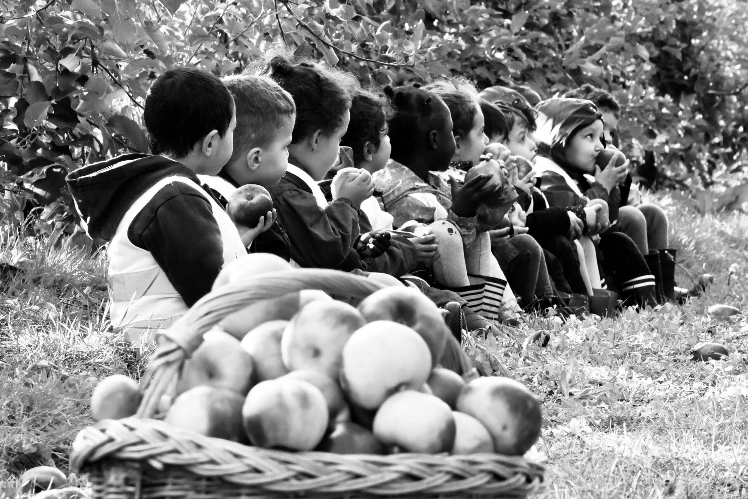 Nos élèves en sortie scolaire dans un verger