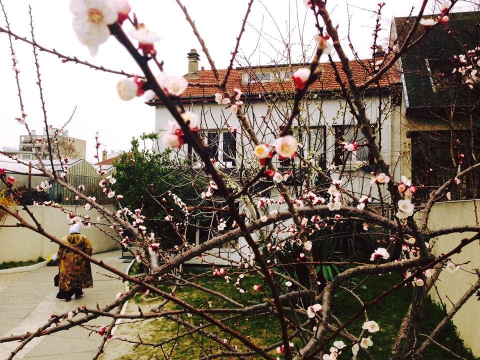 C'est le princtemps à l'école Fort School d'Aubervilliers